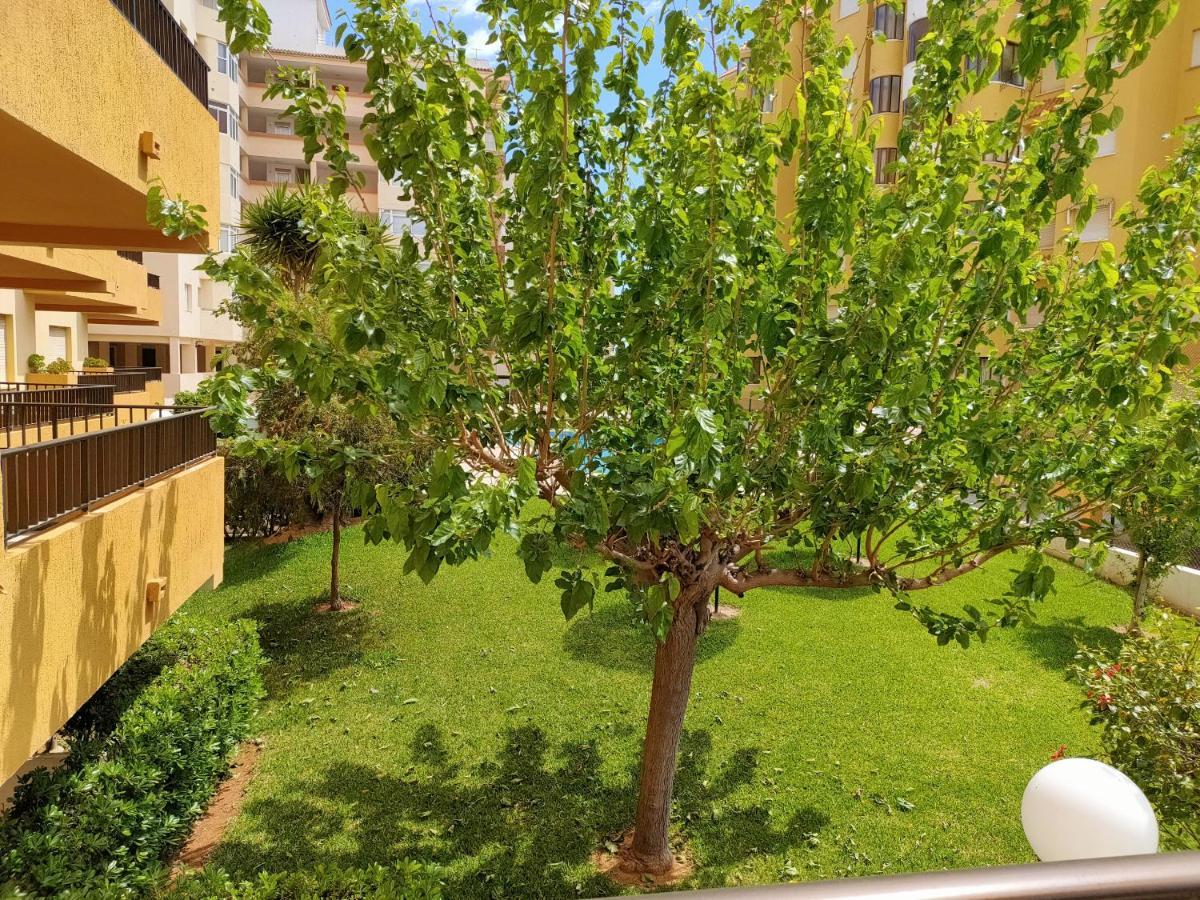 Tamaris Playa Solo Familias Serviplaya Playa De Xeraco Eksteriør billede